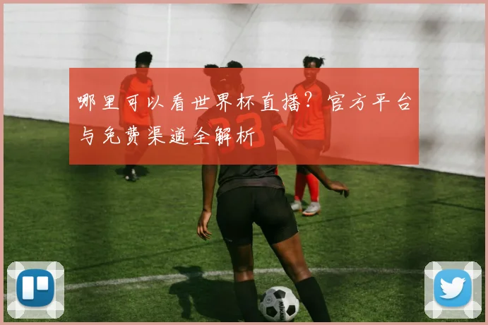 哪里可以看世界杯直播？官方平台与免费渠道全解析