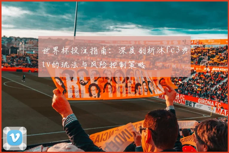 世界杯投注指南：深度剖析沐fc3典tv的玩法与风险控制策略